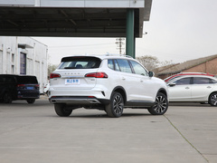 2021款 Supreme系列 300TGI 自动智能座舱尊荣版