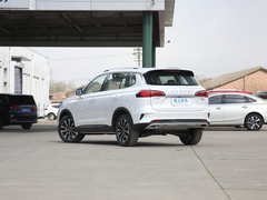 2021款 Supreme系列 300TGI 自动智能座舱尊荣版