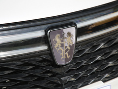 2021款 Supreme系列 300TGI 自动智能座舱尊荣版
