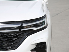 2021款 Supreme系列 300TGI 自动智能座舱尊荣版