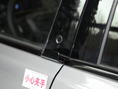 2021款  无疆后驱豪华版(长续航)