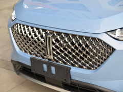 2021款 1.5L DHT原萃版