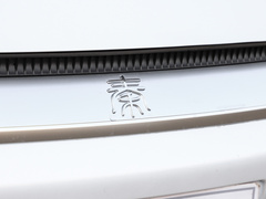 2021款 EV 400KM 豪华型