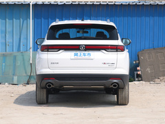 2021款 蓝鲸NE 1.4T DCT豪华型