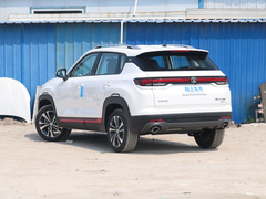 2021款 蓝鲸NE 1.4T DCT豪华型