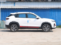 2021款 蓝鲸NE 1.4T DCT豪华型