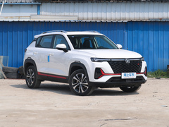 2021款 蓝鲸NE 1.4T DCT豪华型