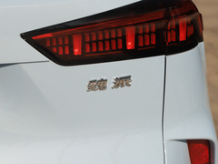 2021款 2.0T 两驱特浓版