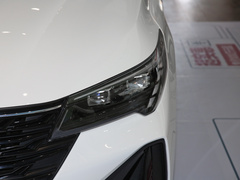 2021款 PLUS 235T 自动尊享版