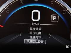 2021款 PLUS 235T 自动尊贵版