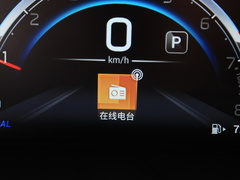 2021款 PLUS 235T 自动尊贵版