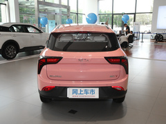 2021款  网约定制版