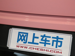 2021款  网约定制版