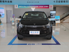 2021款 Pro 500 环球版
免税
