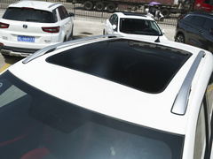 2021款 蓝鲸NE 1.4T DCT尊贵型