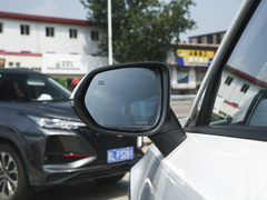 2021款 蓝鲸NE 1.4T DCT尊贵型