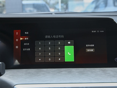 2021款 蓝鲸NE 1.4T DCT尊贵型
