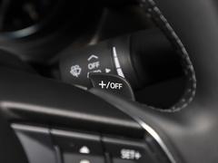 2021款 2.5L 蓝天尊崇版