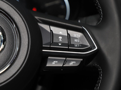 2021款 2.5L 蓝天尊崇版