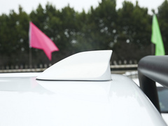 2021款  2.0T商用版手动柴油两驱精英型长箱GW4D20M