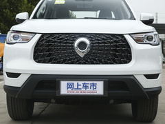 2021款  2.0T商用版手动柴油两驱精英型长箱GW4D20M