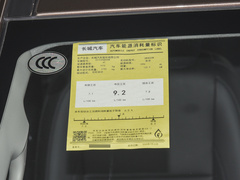 2021款  2.0T商用版自动柴油两驱精英型长箱GW4D20M