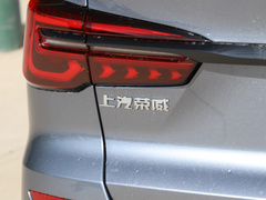 2021款 300TGI 自动Ali国潮旗舰荣麟版