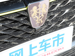 2021款 300TGI 自动Ali国潮旗舰荣麟版