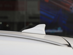 2021款 国潮版 1.5T 自动冠军版