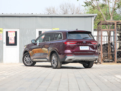 2021款 EcoBoost 225 尊领型 6座