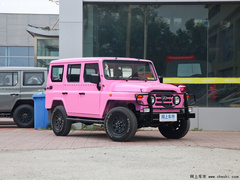 2021款 1.5T 三角门 百年纪念致敬版 