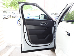 2021款  P250
