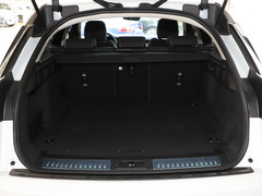 2021款  P250