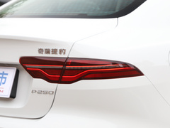 2021款 2.0T 250PS S进取优雅版
