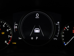 2021款 2.0L 自动质雅版