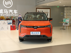 2021款 520km PRO全能版