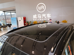 2021款 520km PRO全能版