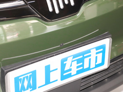 2021款 520km PRO全能版