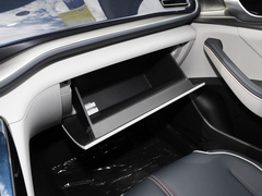 2021款 EV 500KM 豪华型