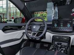 2021款 EV 500KM 尊贵型