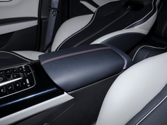 2021款 EV 500KM 尊贵型
