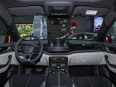 2021款 EV 500KM 尊贵型