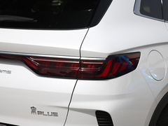 2021款 EV 尊贵型