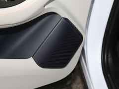 2021款 EV 尊贵型