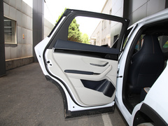 2021款 EV 尊贵型