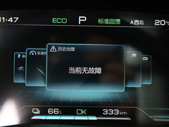 2021款 EV 尊贵型
