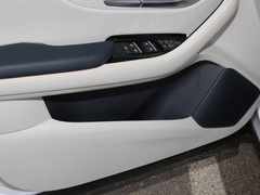 2021款 EV 尊贵型