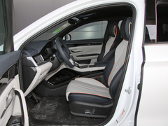 2021款 EV 尊贵型