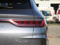 2021款 EV 旗舰型