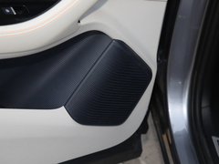 2021款 EV 旗舰型